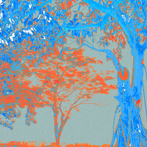 image-1